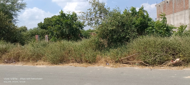  2756 Sq. Yards Residential Plot for Sale in Fatehabad Road, Agra