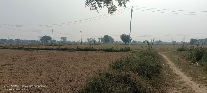 11 Bigha Residential Plot for Sale in Fatehabad Road, Agra