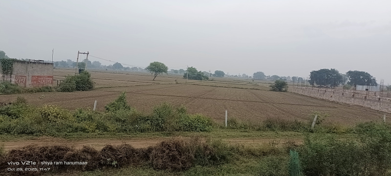  6 Bigha Residential Plot for Sale in Fatehabad Road, Agra