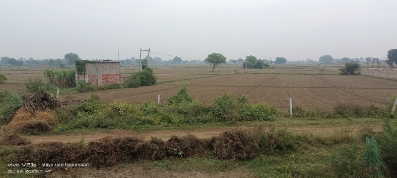  6 Bigha Residential Plot for Sale in Fatehabad Road, Agra