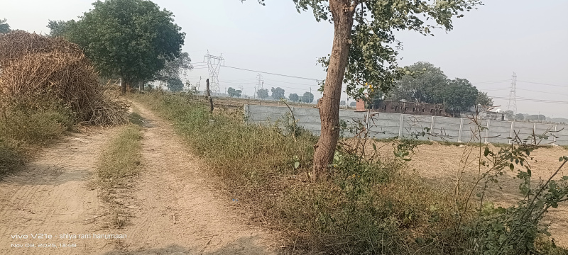  2 Bigha Residential Plot for Sale in Fatehabad Road, Agra