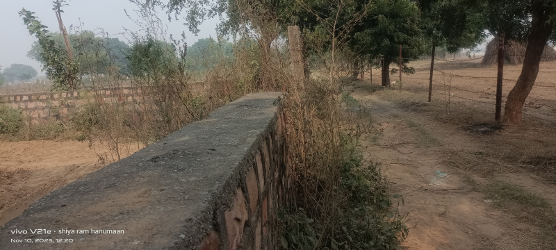  2 Bigha Residential Plot for Sale in Fatehabad Road, Agra