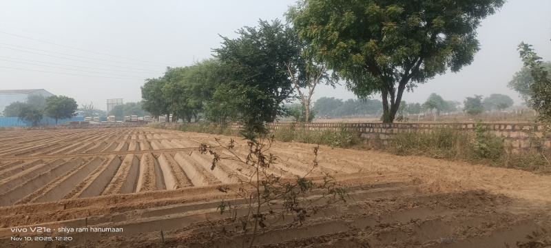  2 Bigha Residential Plot for Sale in Fatehabad Road, Agra