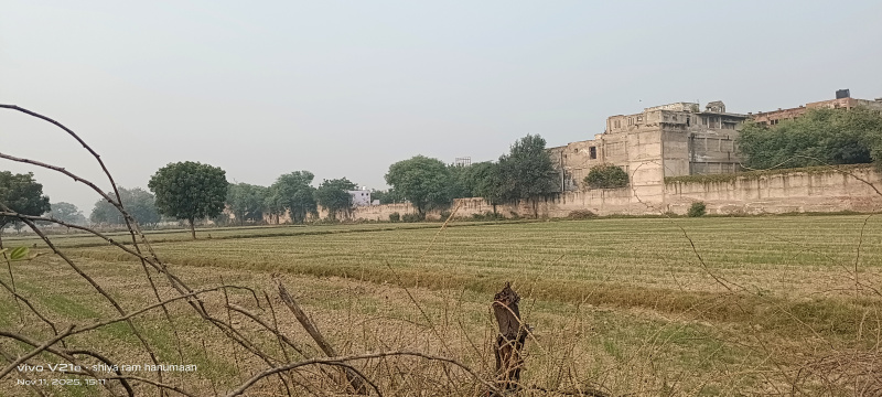  3 Bigha Residential Plot for Sale in Etmadpur, Agra