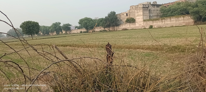  3 Bigha Residential Plot for Sale in Etmadpur, Agra