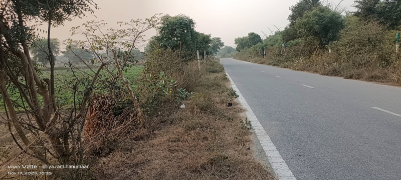  2 Bigha Residential Plot for Sale in Fatehabad Road, Agra