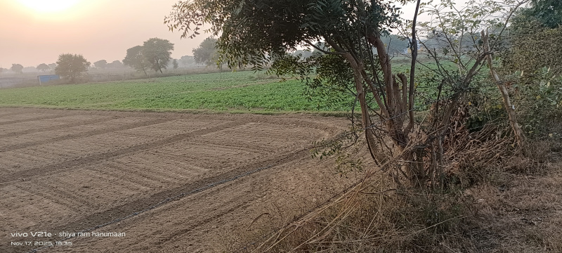  2 Bigha Residential Plot for Sale in Fatehabad Road, Agra