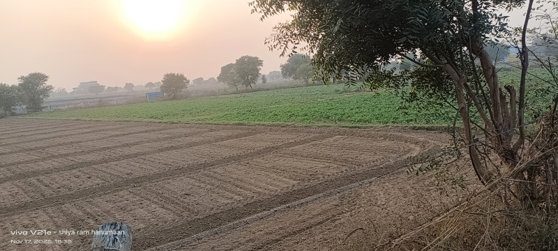  2 Bigha Residential Plot for Sale in Fatehabad Road, Agra