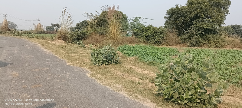  6 Bigha Residential Plot for Sale in Fatehabad Road, Agra