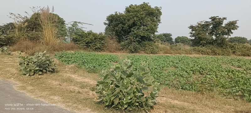  6 Bigha Residential Plot for Sale in Fatehabad Road, Agra