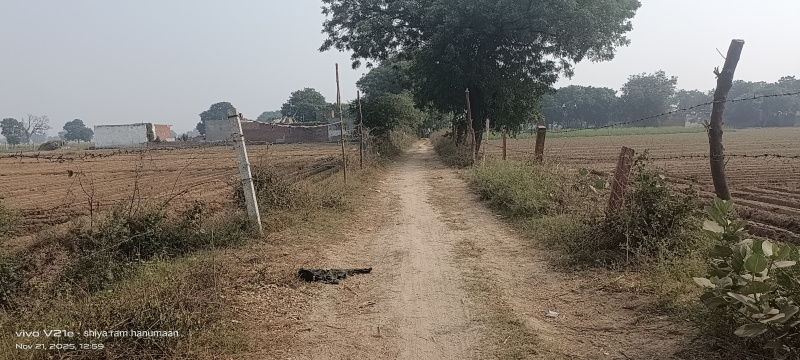  1 Bigha Residential Plot for Sale in Fatehabad Road, Agra