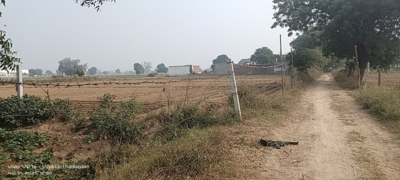  1 Bigha Residential Plot for Sale in Fatehabad Road, Agra