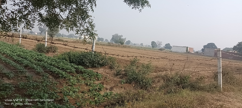  1 Bigha Residential Plot for Sale in Fatehabad Road, Agra