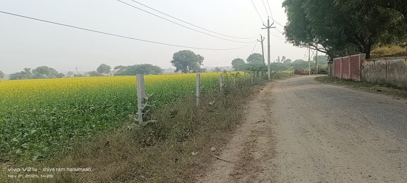  4 Bigha Residential Plot for Sale in Fatehabad Road, Agra