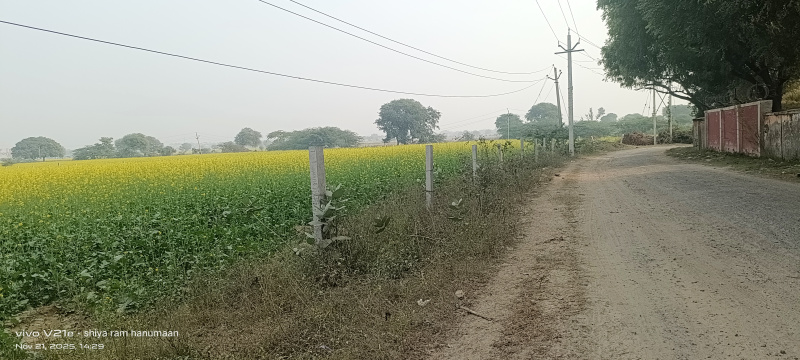  4 Bigha Residential Plot for Sale in Fatehabad Road, Agra