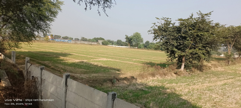  20 Bigha Residential Plot for Sale in Fatehabad Road, Agra