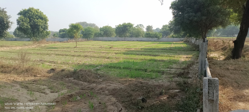 20 Bigha Residential Plot for Sale in Fatehabad Road, Agra