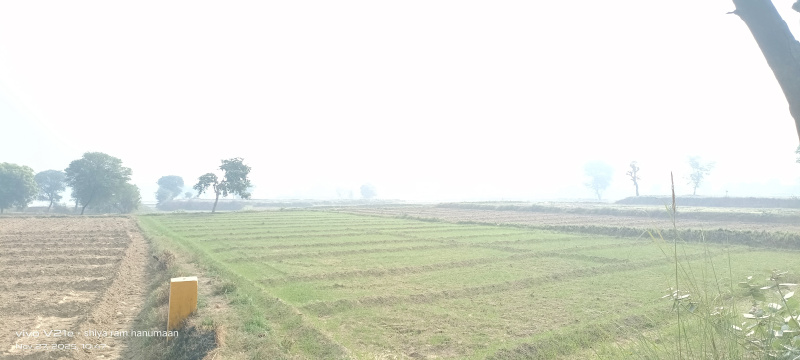  8 Bigha Residential Plot for Sale in Fatehabad Road, Agra