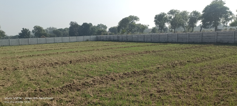  1 Bigha Residential Plot for Sale in Fatehabad Road, Agra