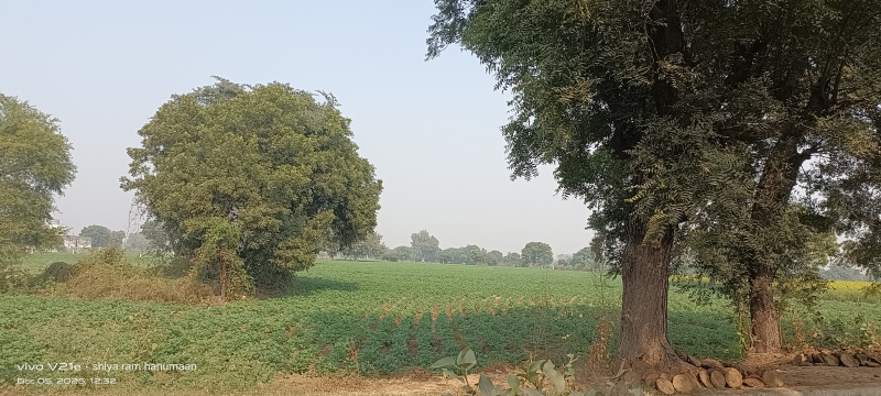  11 Bigha Residential Plot for Sale in Fatehabad Road, Agra