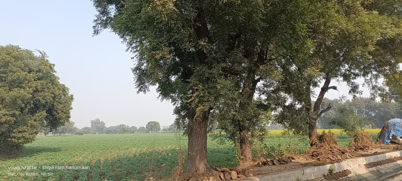  11 Bigha Residential Plot for Sale in Fatehabad Road, Agra