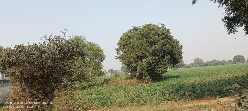  11 Bigha Residential Plot for Sale in Fatehabad Road, Agra