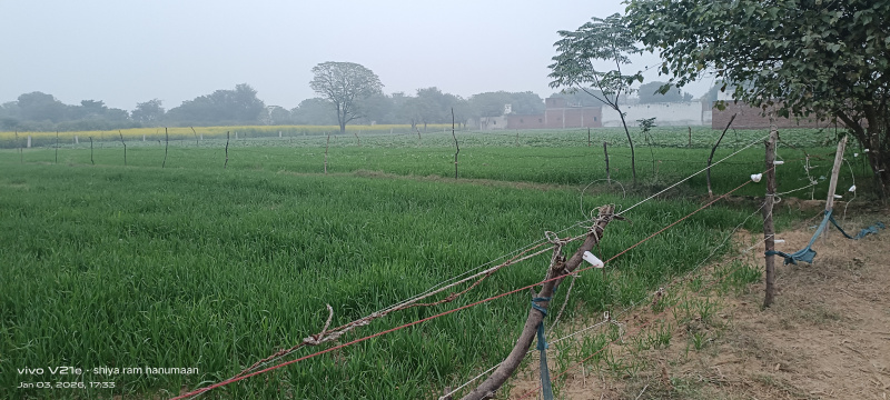  3 Bigha Residential Plot for Sale in Fatehabad Road, Agra