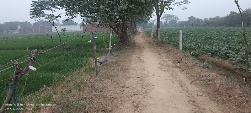  3 Bigha Residential Plot for Sale in Fatehabad Road, Agra