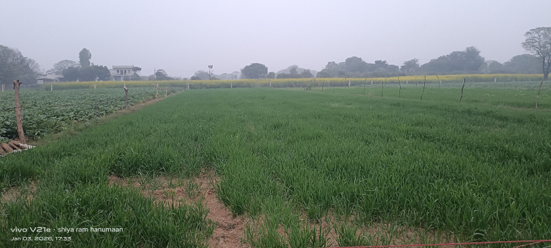  3 Bigha Residential Plot for Sale in Fatehabad Road, Agra