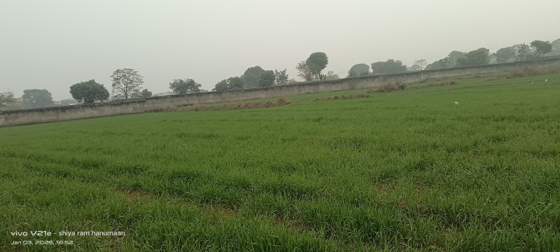  3 Bigha Residential Plot for Sale in Fatehabad Road, Agra