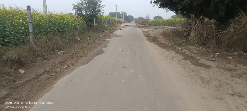  10 Bigha Residential Plot for Sale in Fatehabad Road, Agra