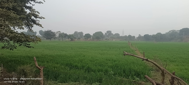  1152 Sq. Meter Residential Plot for Sale in Fatehabad Road, Agra