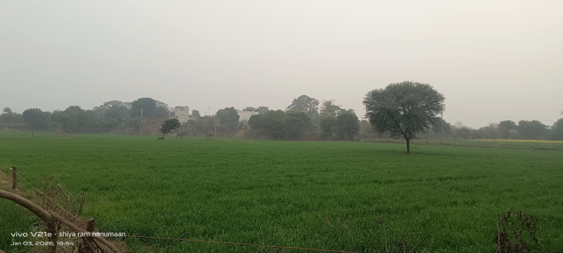  1152 Sq. Meter Residential Plot for Sale in Fatehabad Road, Agra