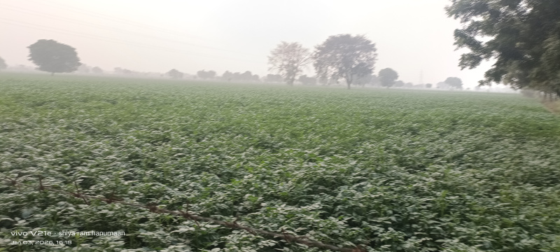  7 Bigha Residential Plot for Sale in Fatehabad Road, Agra