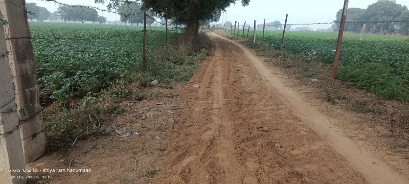 7 Bigha Residential Plot for Sale in Fatehabad Road, Agra