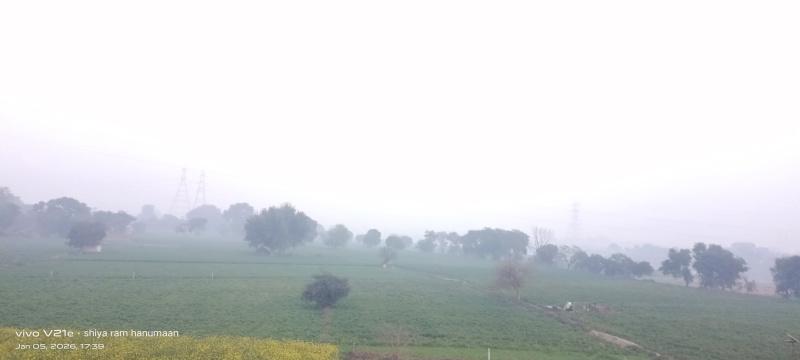  12 Bigha Residential Plot for Sale in Etmadpur, Agra