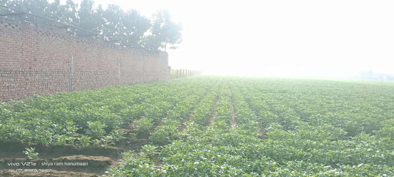  3 Bigha Residential Plot for Sale in Fatehabad Road, Agra