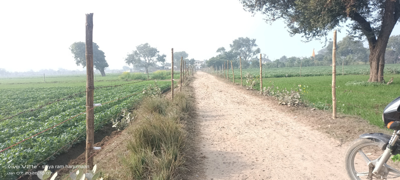  3 Bigha Residential Plot for Sale in Fatehabad Road, Agra