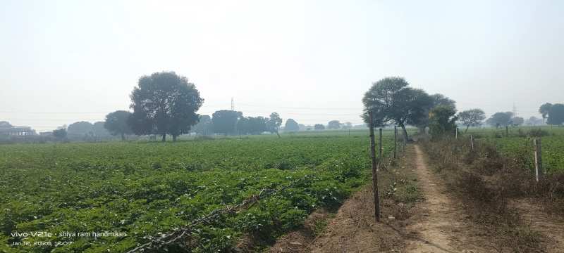  2 Bigha Residential Plot for Sale in Fatehabad Road, Agra