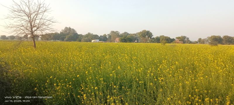  10 Bigha Residential Plot for Sale in Fatehabad Road, Agra