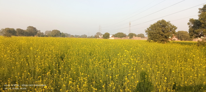  10 Bigha Residential Plot for Sale in Fatehabad Road, Agra