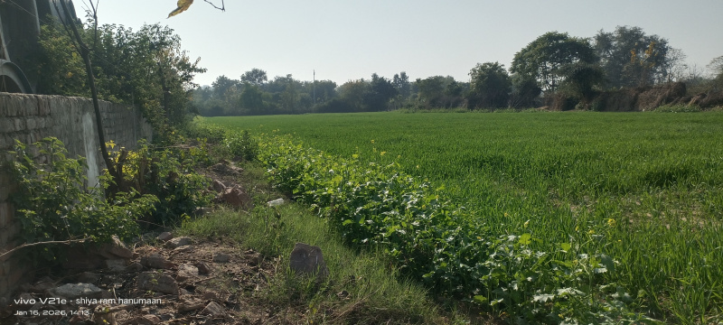  4600 Sq. Yards Residential Plot for Sale in Fatehabad Road, Agra
