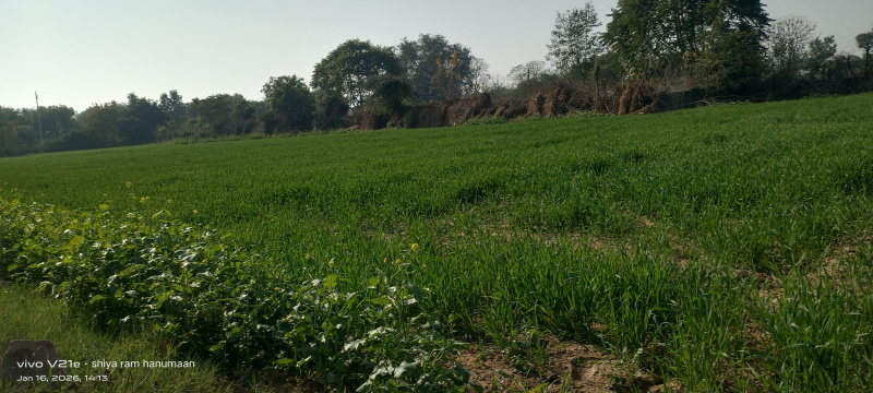  4600 Sq. Yards Residential Plot for Sale in Fatehabad Road, Agra