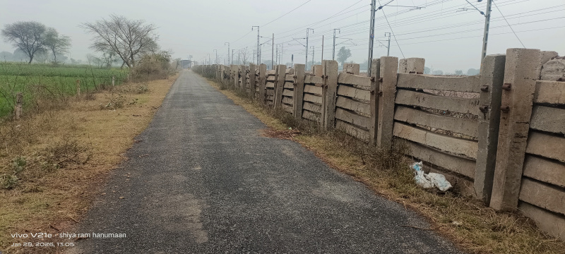  24 Bigha Residential Plot for Sale in Tundla Kham, Firozabad