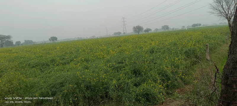  24 Bigha Residential Plot for Sale in Tundla Kham, Firozabad