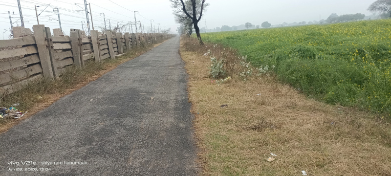  24 Bigha Residential Plot for Sale in Tundla Kham, Firozabad