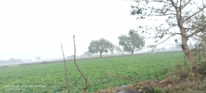  22 Bigha Residential Plot for Sale in Purani Mandi, Firozabad