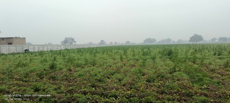  28 Bigha Residential Plot for Sale in Tundla Kham, Firozabad