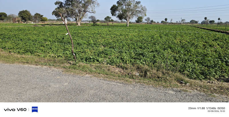  5 Bigha Residential Plot for Sale in Etmadpur, Agra