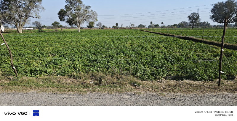  5 Bigha Residential Plot for Sale in Etmadpur, Agra